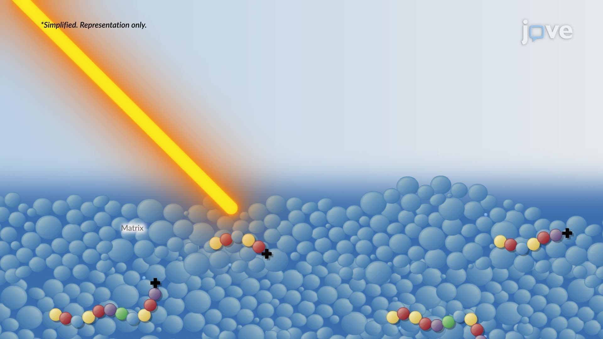 Rapid Identification of Pathogens