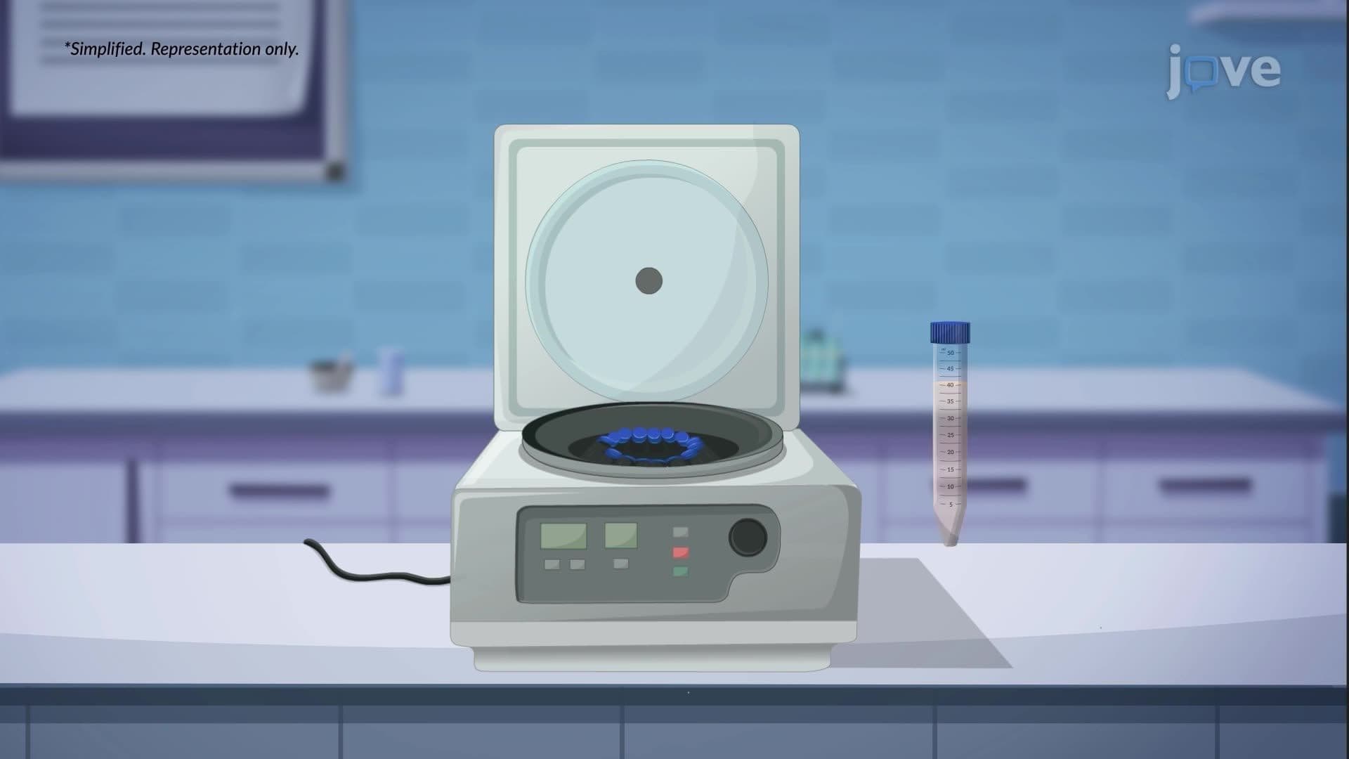 Downstream Processing