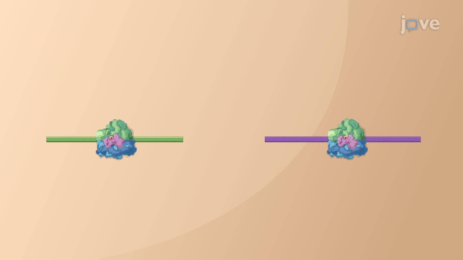Inhibitors of Viral Protein Synthesis