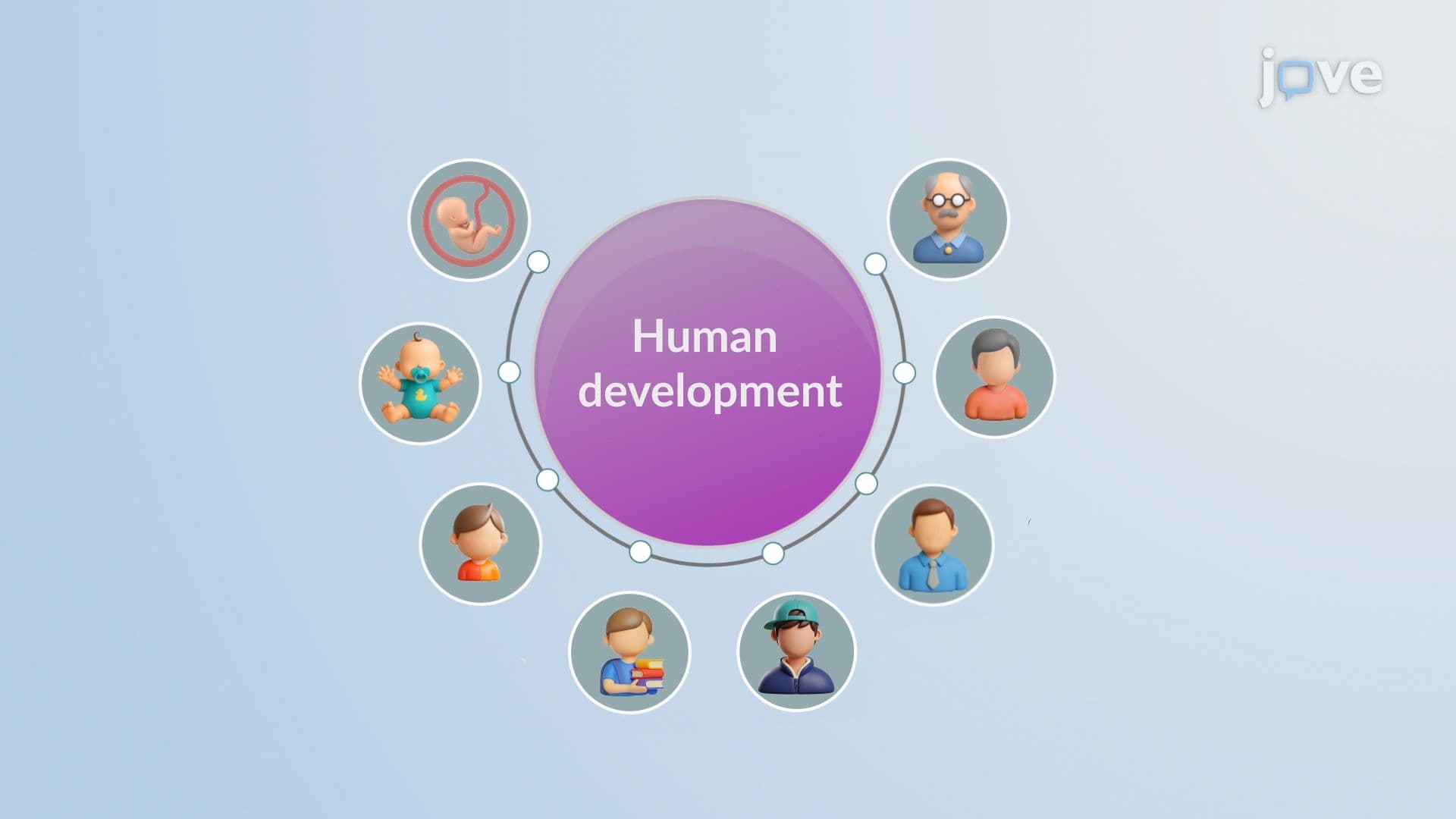Introduction to Human Development