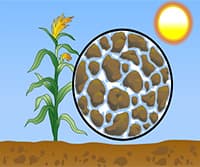 Determination of Moisture Content in Soil