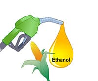 Biofuels: Producing Ethanol from Cellulosic Material