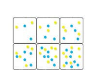 Multiple Object Tracking: Studying Sustained Visual Attention
