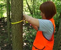 Tree Survey: Point-Centered Quarter Sampling Method