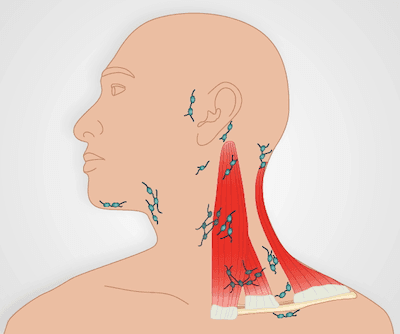 Lymph Node Exam