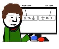 Visual Statistical Learning