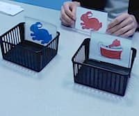 Executive Function and the Dimensional Change Card Sort Task