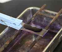 Gram Staining of Bacteria from Environmental Sources