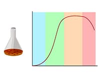 Bacterial Growth Curve Analysis and its Environmental Applications