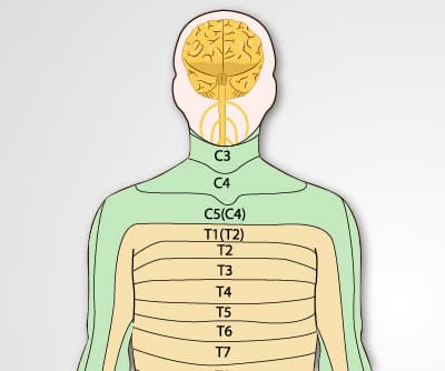 Sensory Exam