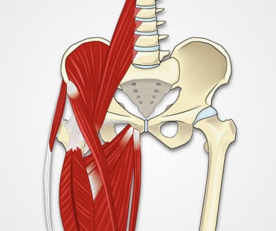 Hip Exam