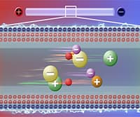 Capillary Electrophoresis (CE)