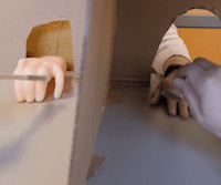 The Rubber Hand Illusion
