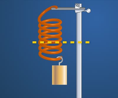 Hooke's Law and Simple Harmonic Motion