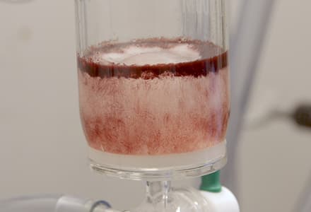 Solid Phase Synthesis