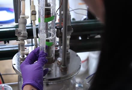 Crystallization of Salicylic Acid via Chemical Modification
