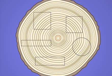 Compression Tests, Tension Tests and Bending Tests on Wood
