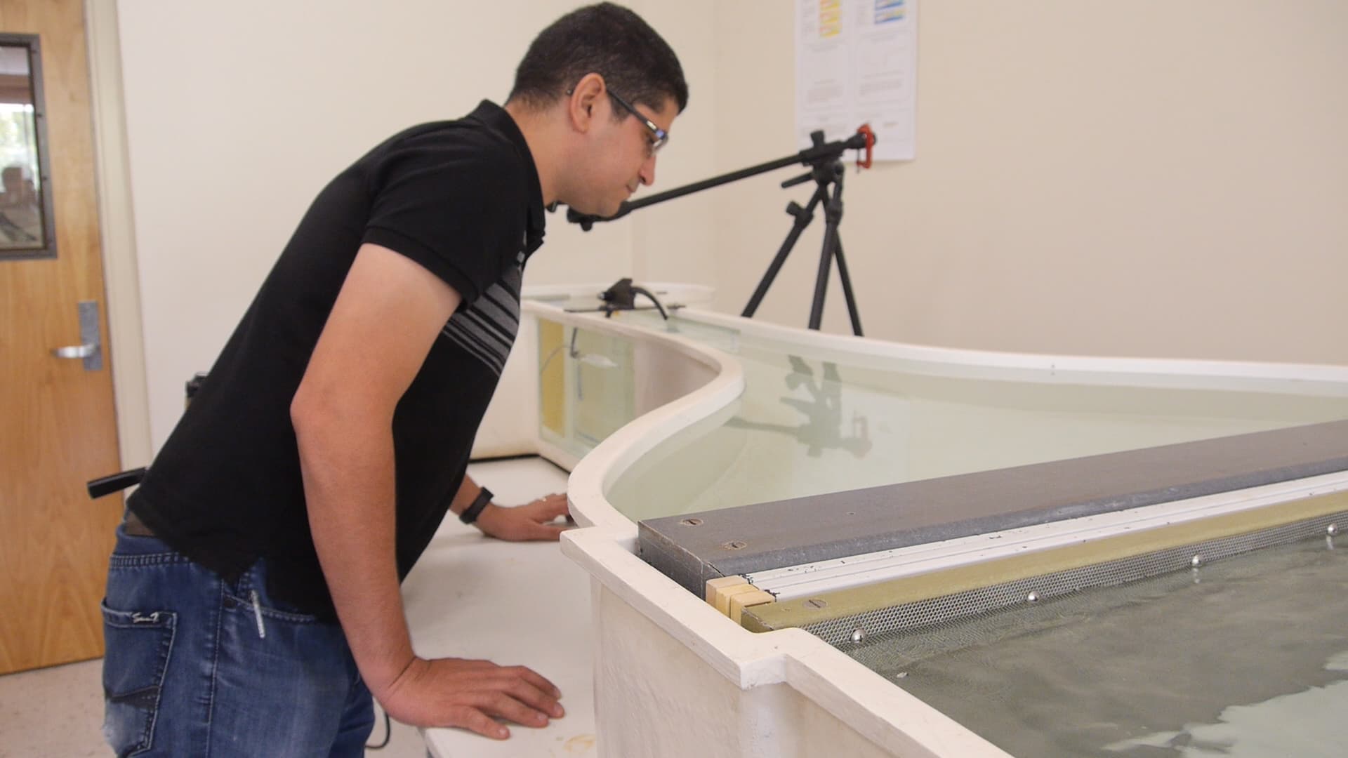 Flow Visualization in a Water Tunnel: Observing the Leading-edge Vortex Over a Delta Wing
