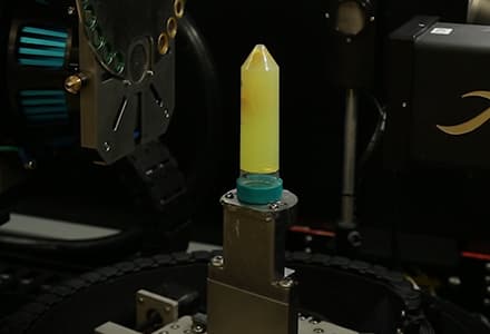 Micro-CT Imaging of a Mouse Spinal Cord