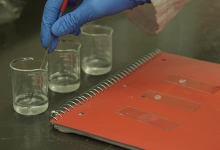 Hydrogel Synthesis