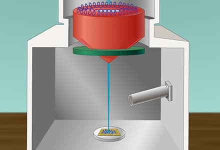 SEM Imaging of Biological Samples
