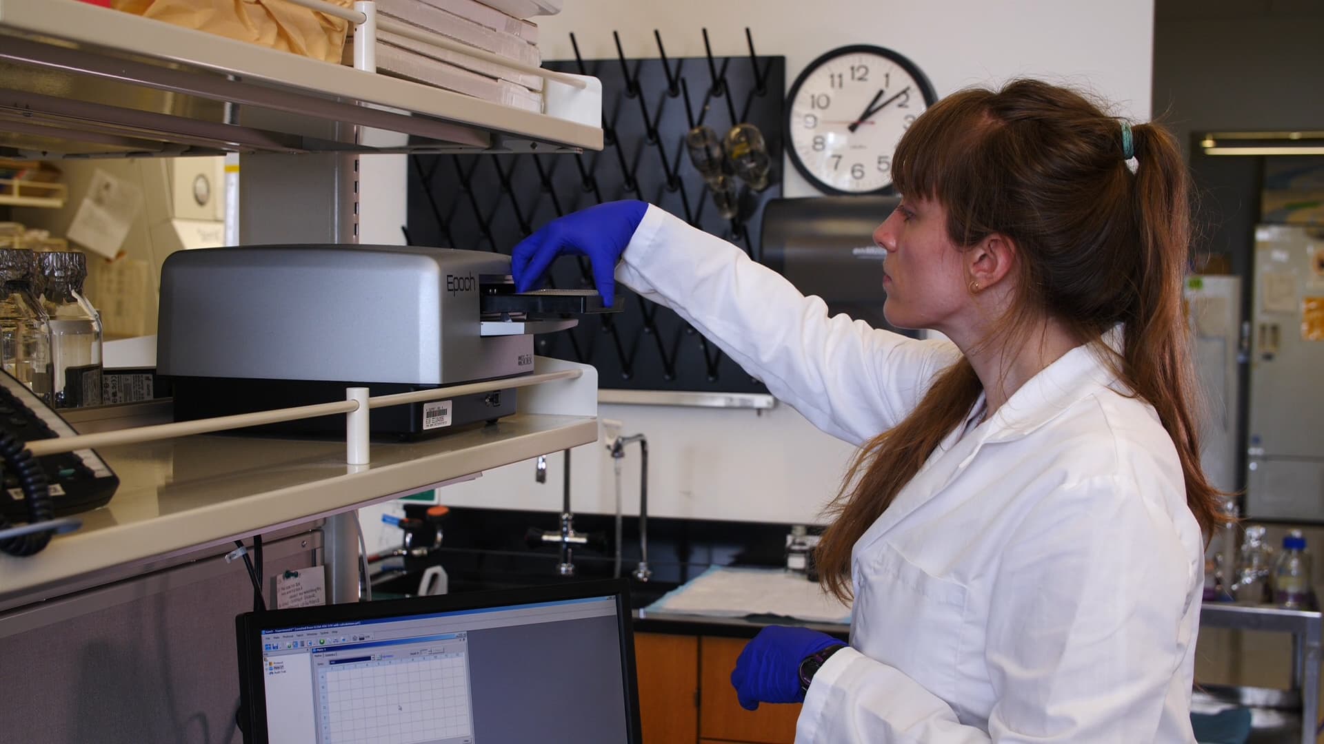 ELISA Assays: Indirect, Sandwich, and Competitive