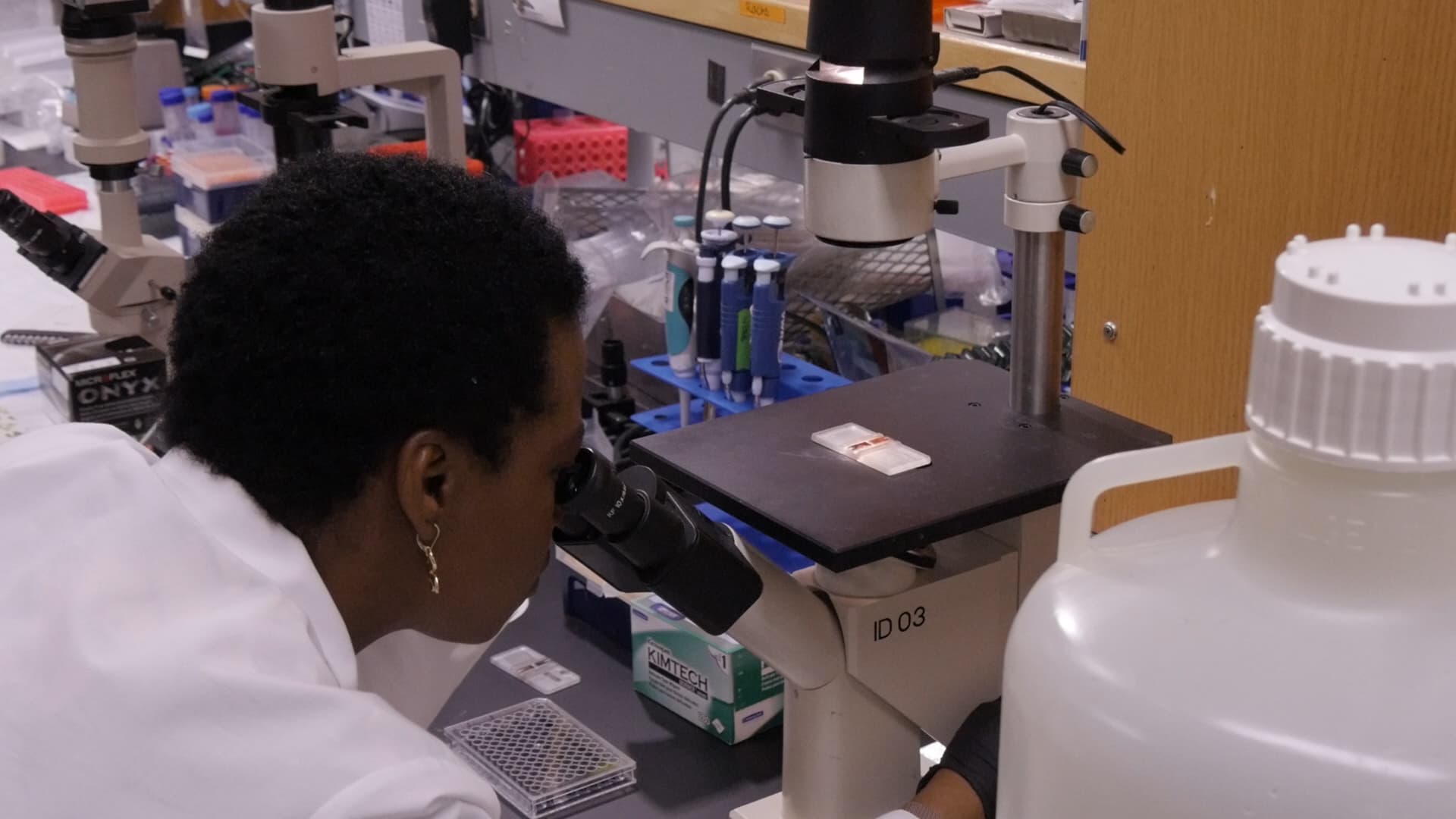 ELISPOT Assay: Detection of IFN-γ Secreting Splenocytes