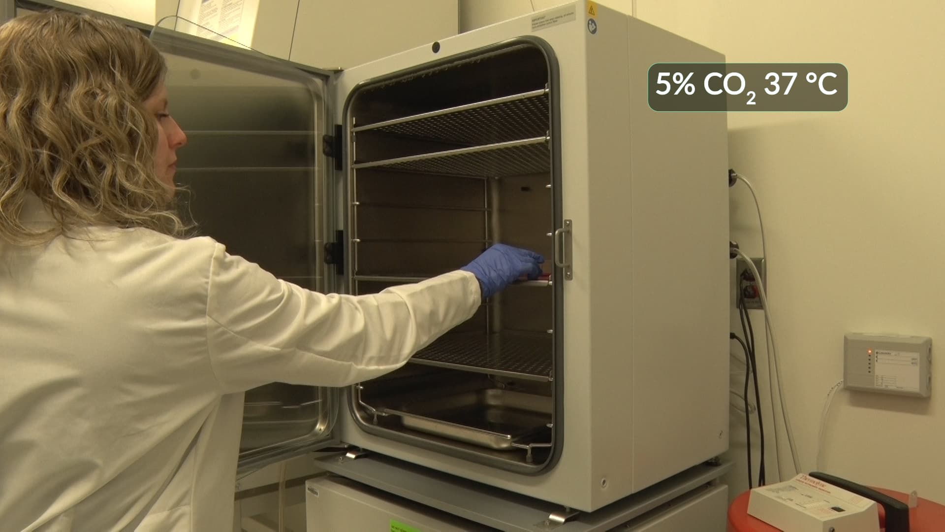 Antibody Generation: Producing Monoclonal Antibodies Using Hybridomas