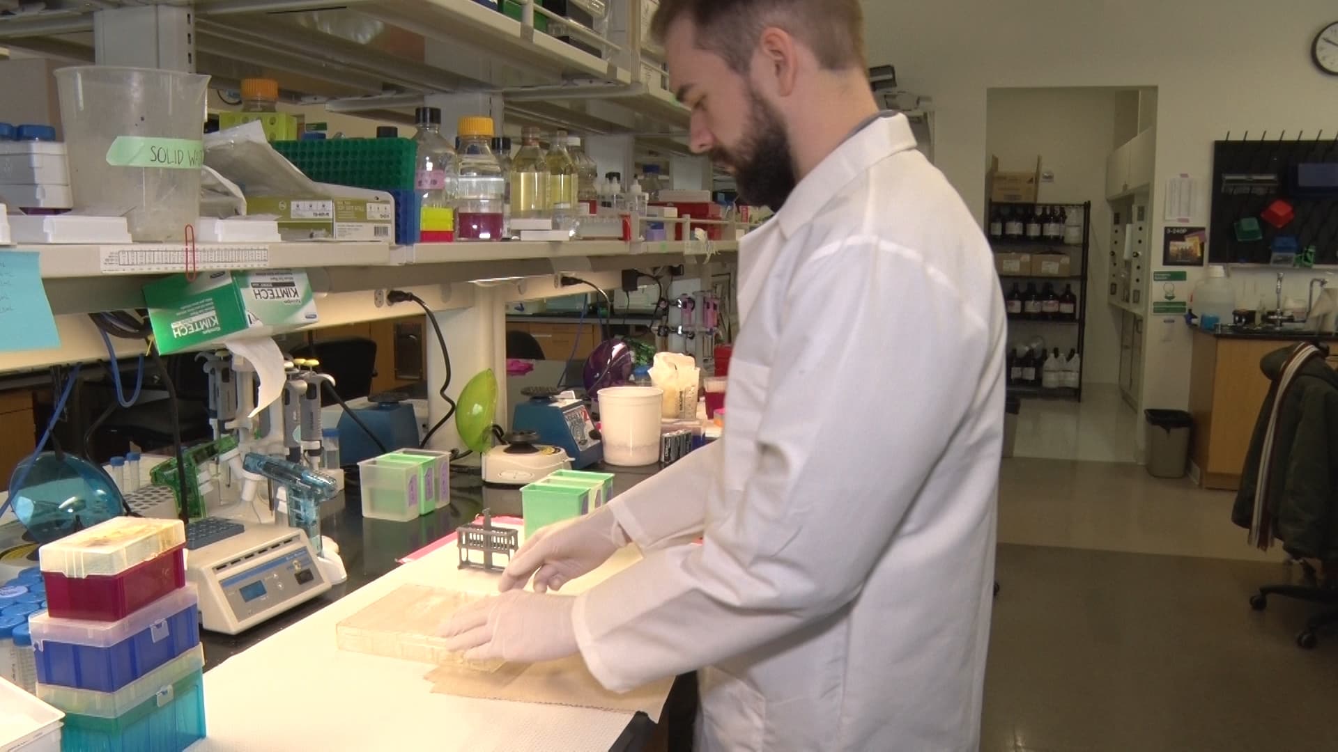 Immunofluorescence Microscopy: Immunofluorescence Staining of Paraffin-Embedded Tissue Sections