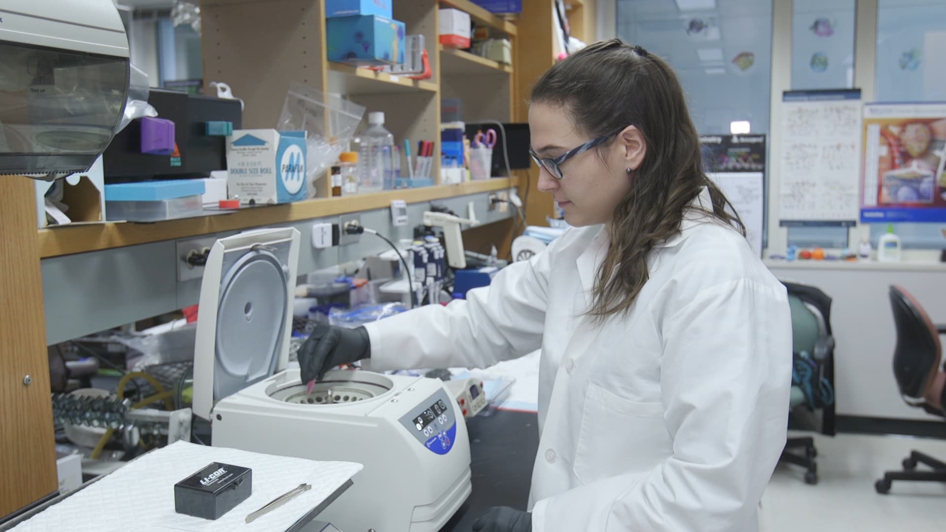 Immunoprecipitation-Based Techniques: Purification of Endogenous Proteins Using Agarose Beads