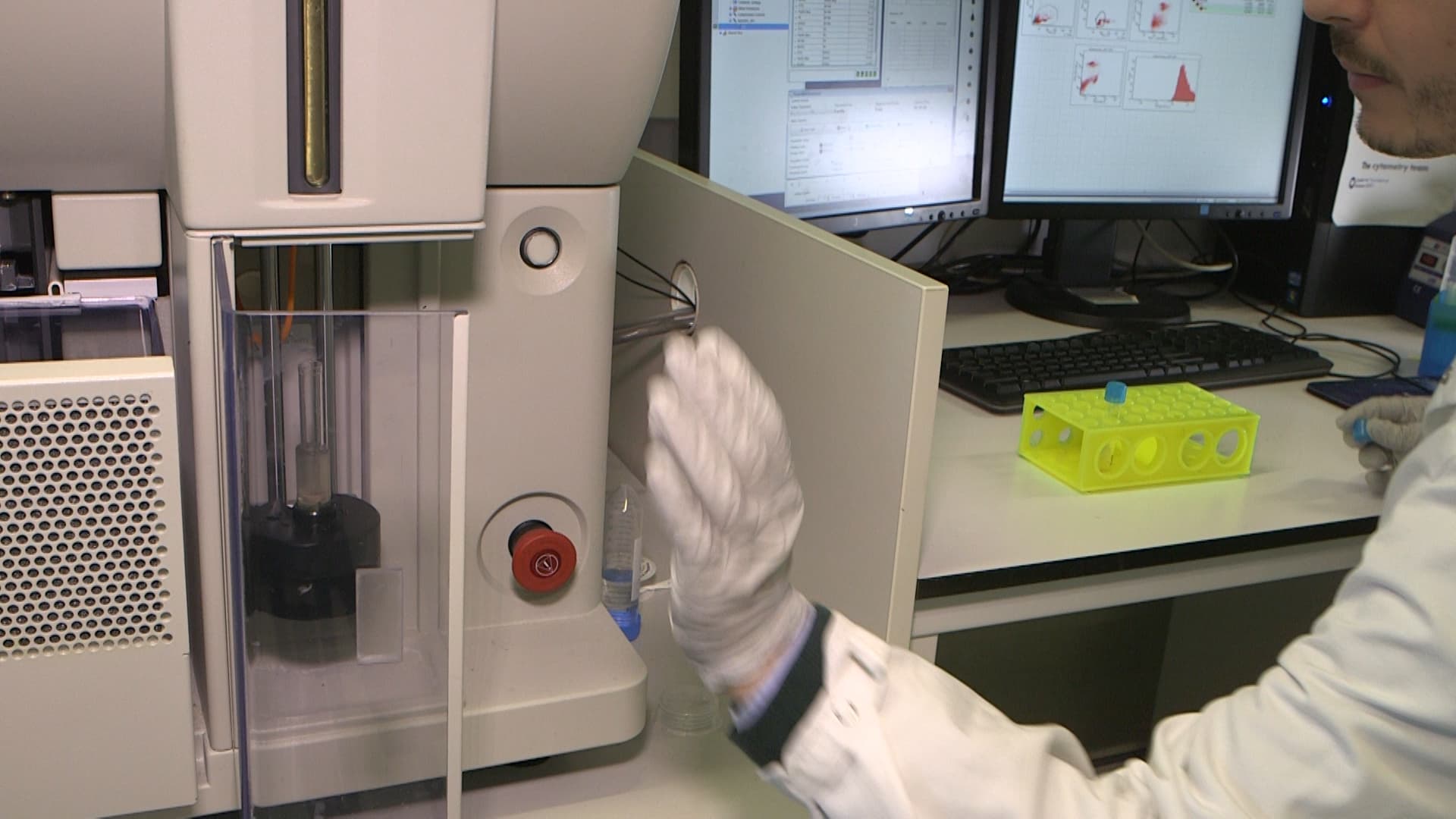 Cell Cycle Analysis: Assessing CD4 and CD8 T Cell Proliferation After Stimulation Using CFSE Staining and Flow Cytometry