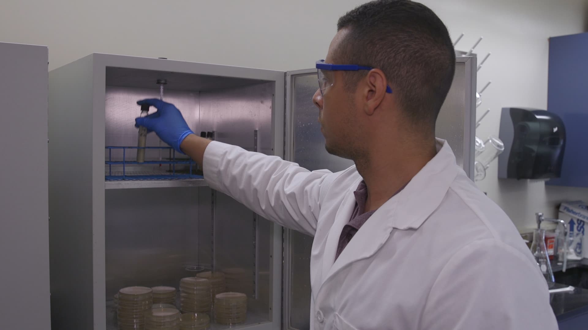 Serial Dilutions and Plating: Microbial Enumeration