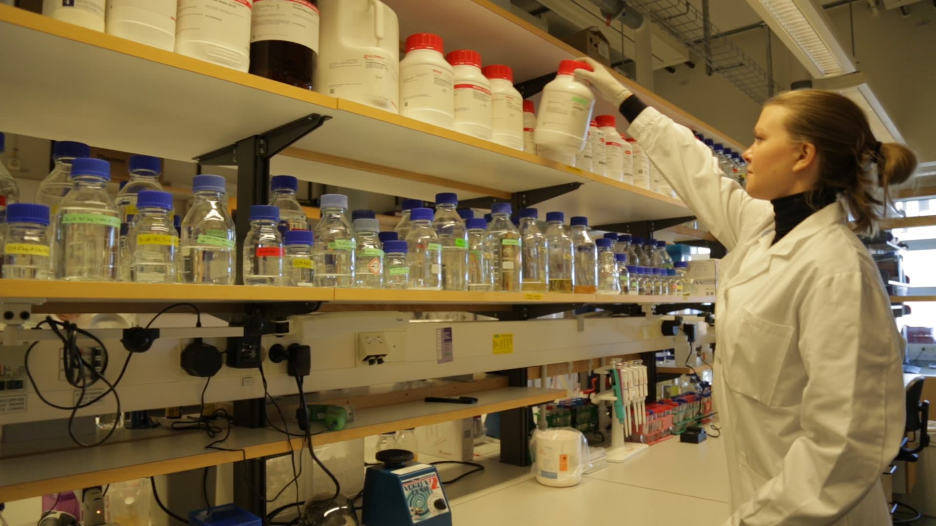 Plaque Assay: A Method to Determine Viral Titer as Plaque Forming Units (PFU)