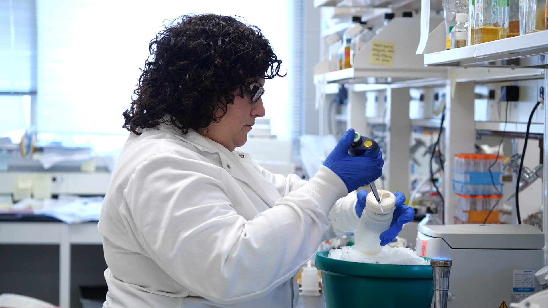 Transformation of E. coli Cells Using an Adapted Calcium Chloride Procedure