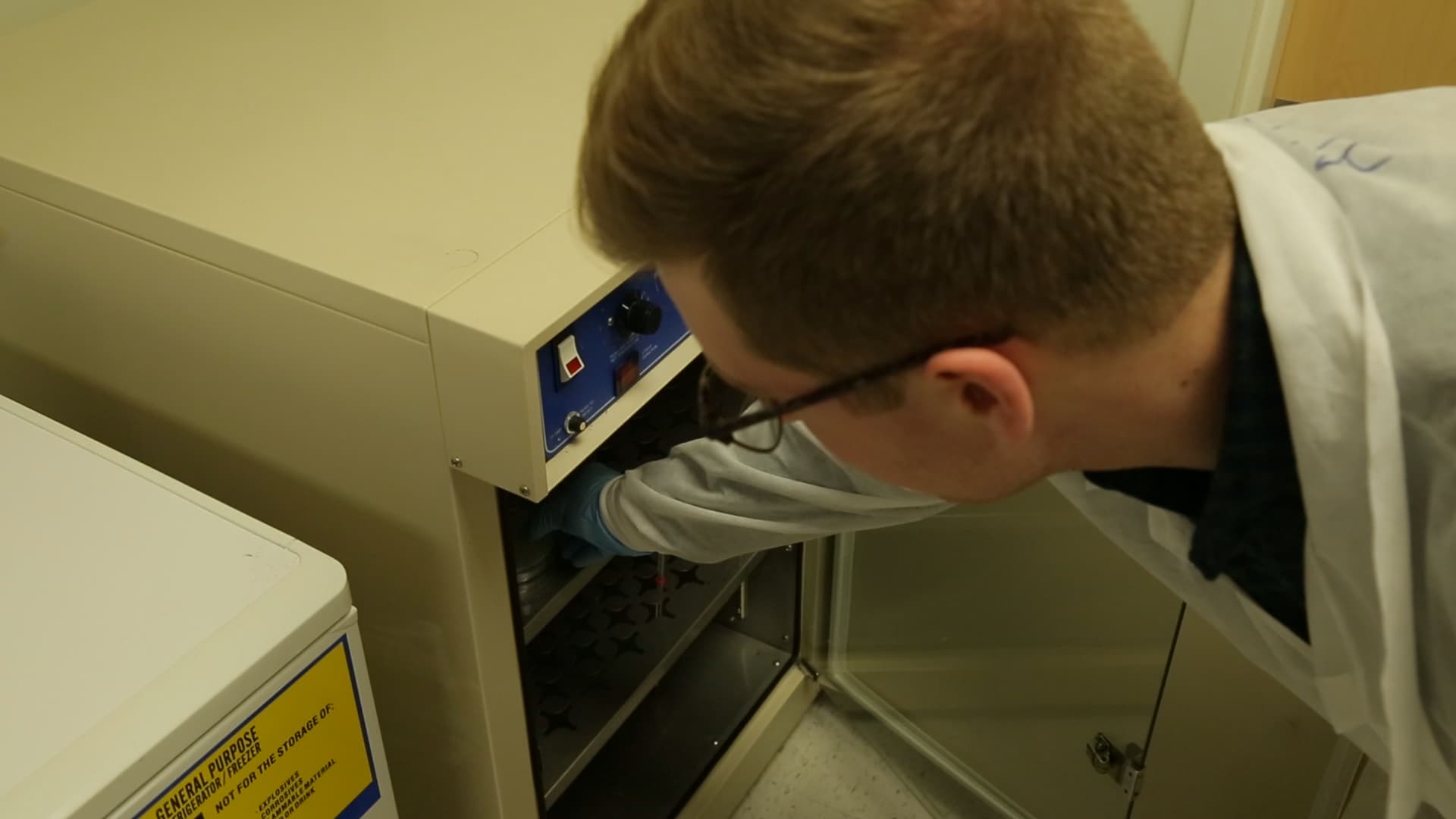Conjugation: A Method to Transfer Ampicillin Resistance from Donor to Recipient E. coli