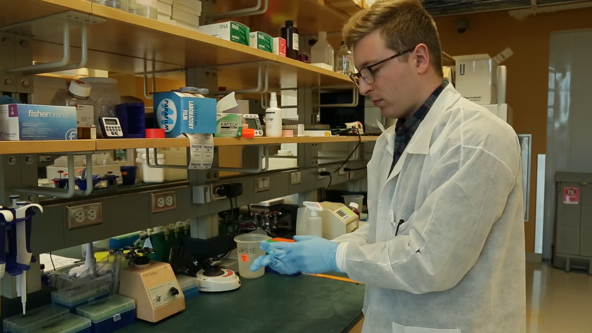 Phage Transduction: A Method to Transfer Ampicillin Resistance from Donor to Recipient E. coli