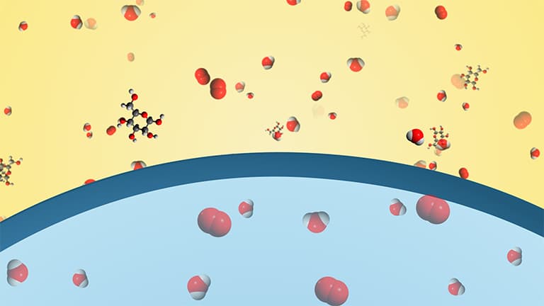 Diffusion and Osmosis