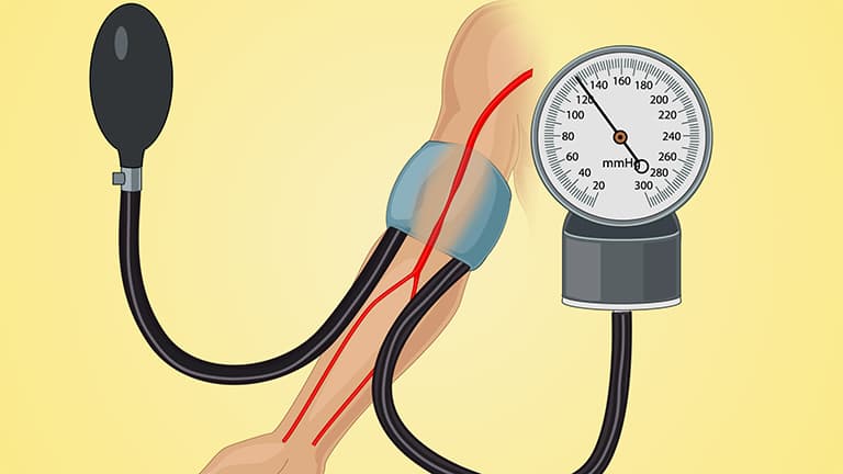 Physiology of the Circulatory System
