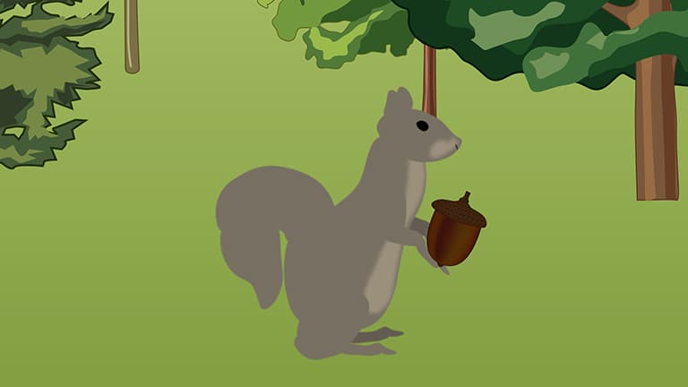 Optimal Foraging