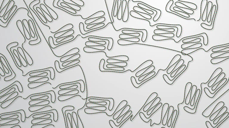 What are Proteins?