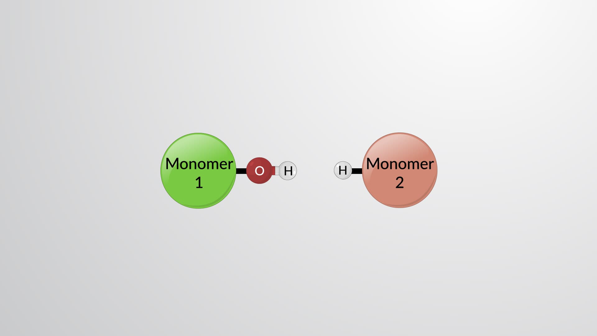 Hydrolysis