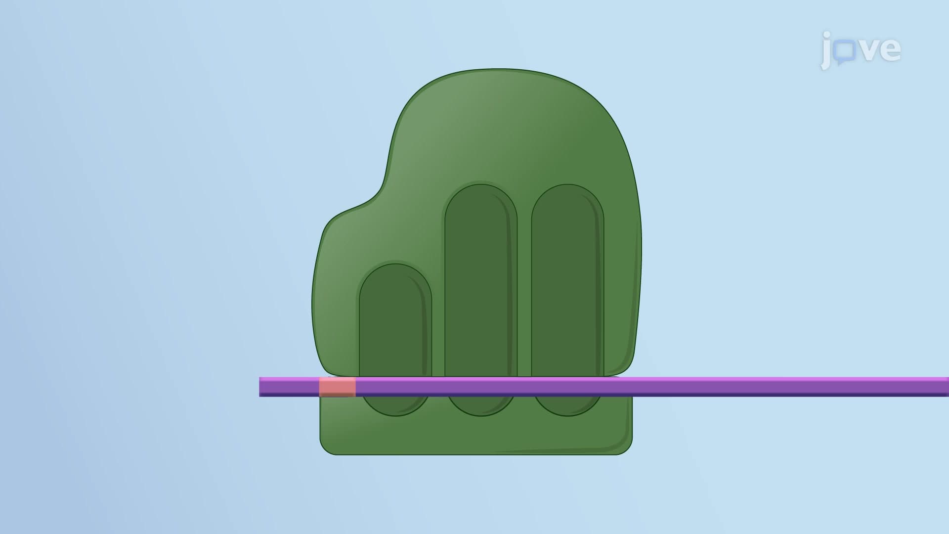 Ribosomes