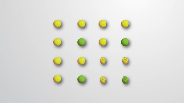 Dihybrid Crosses