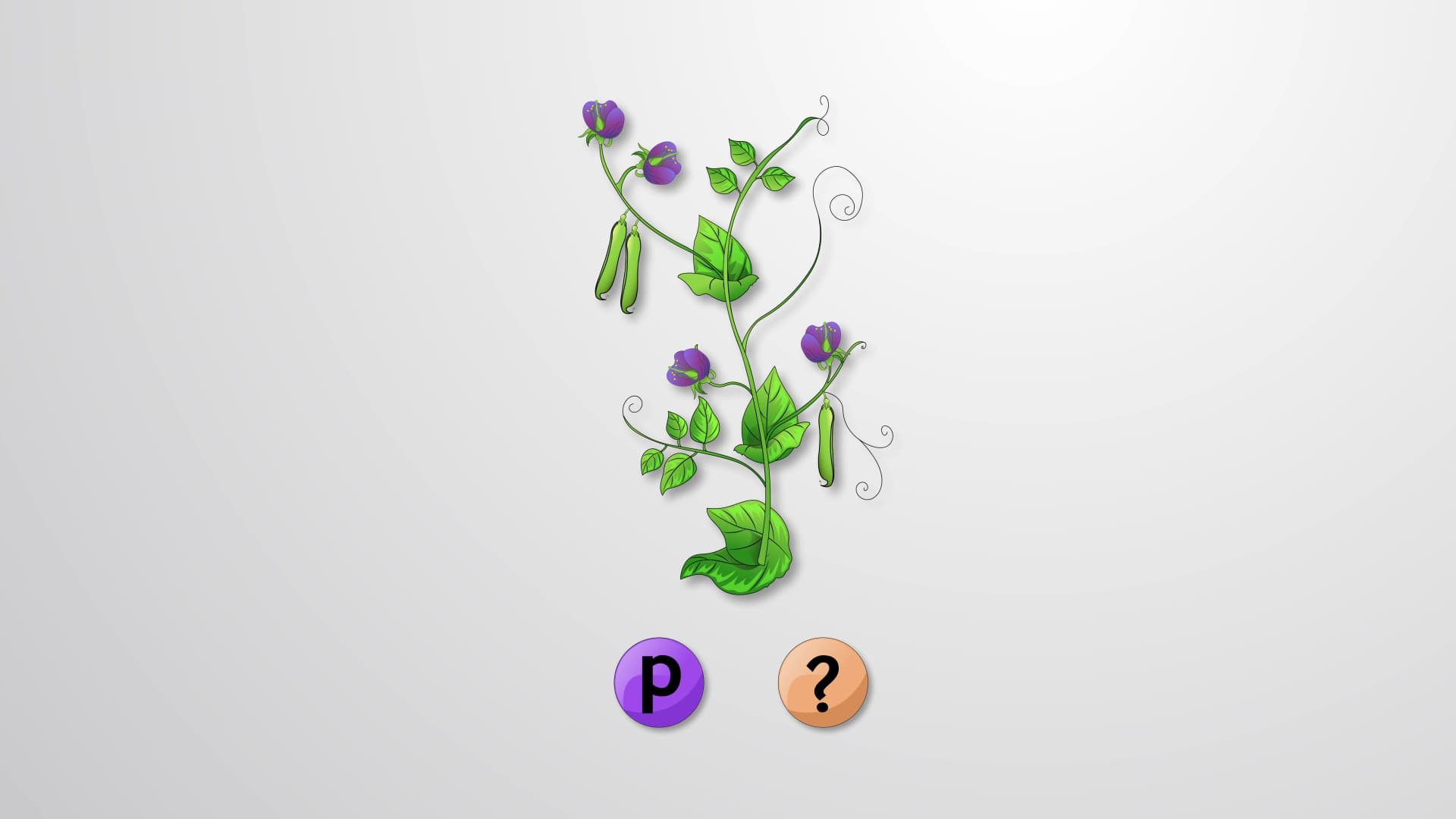 Test Cross