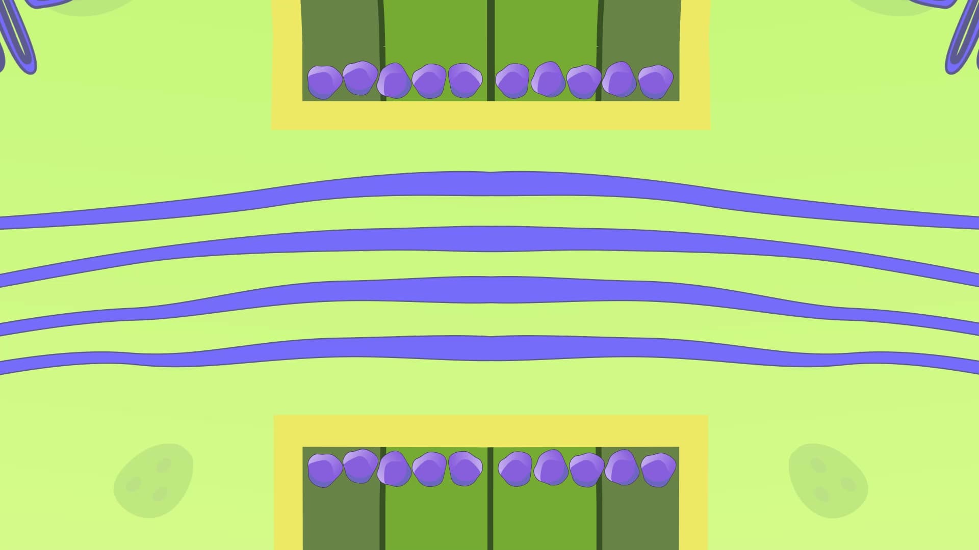 Plasmodesmata
