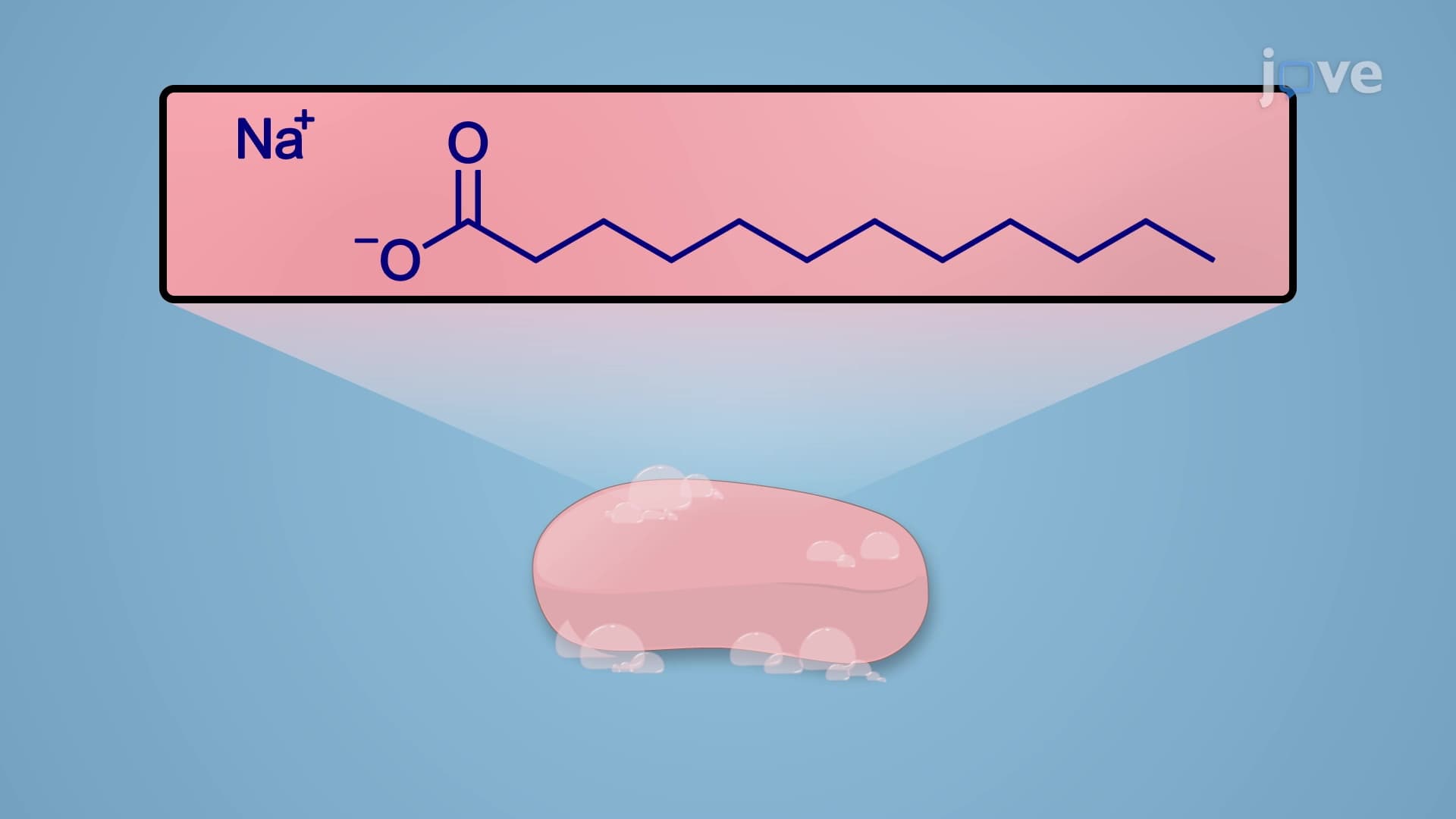 Hydrolysis of an Ester