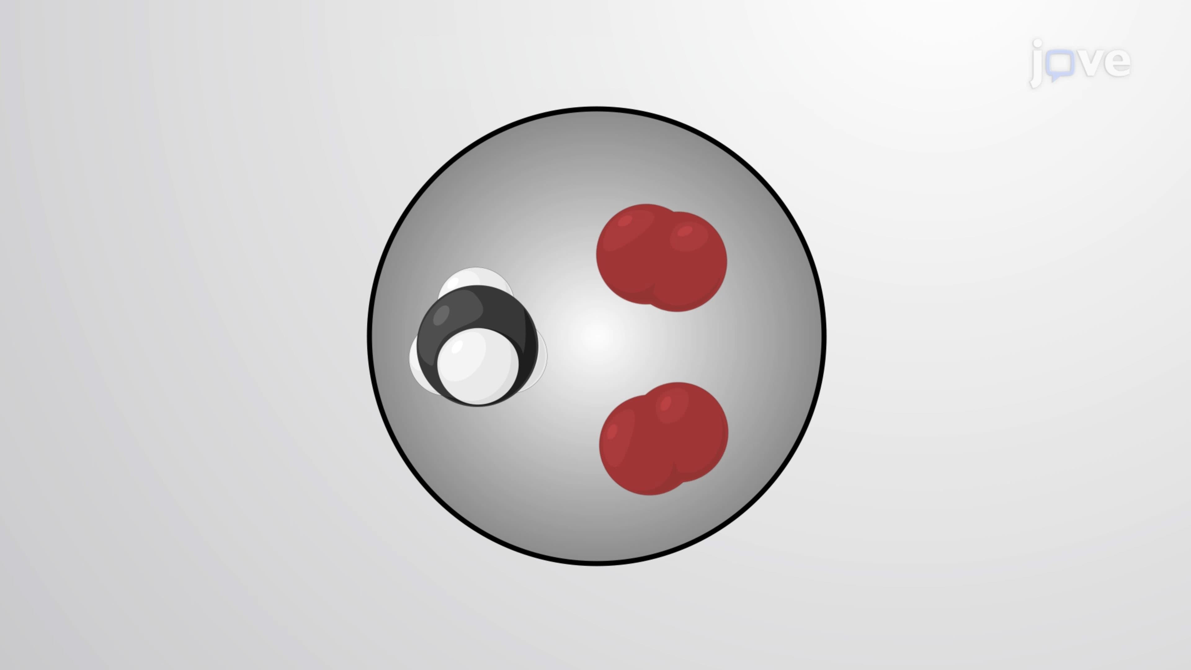 Chemical Equations