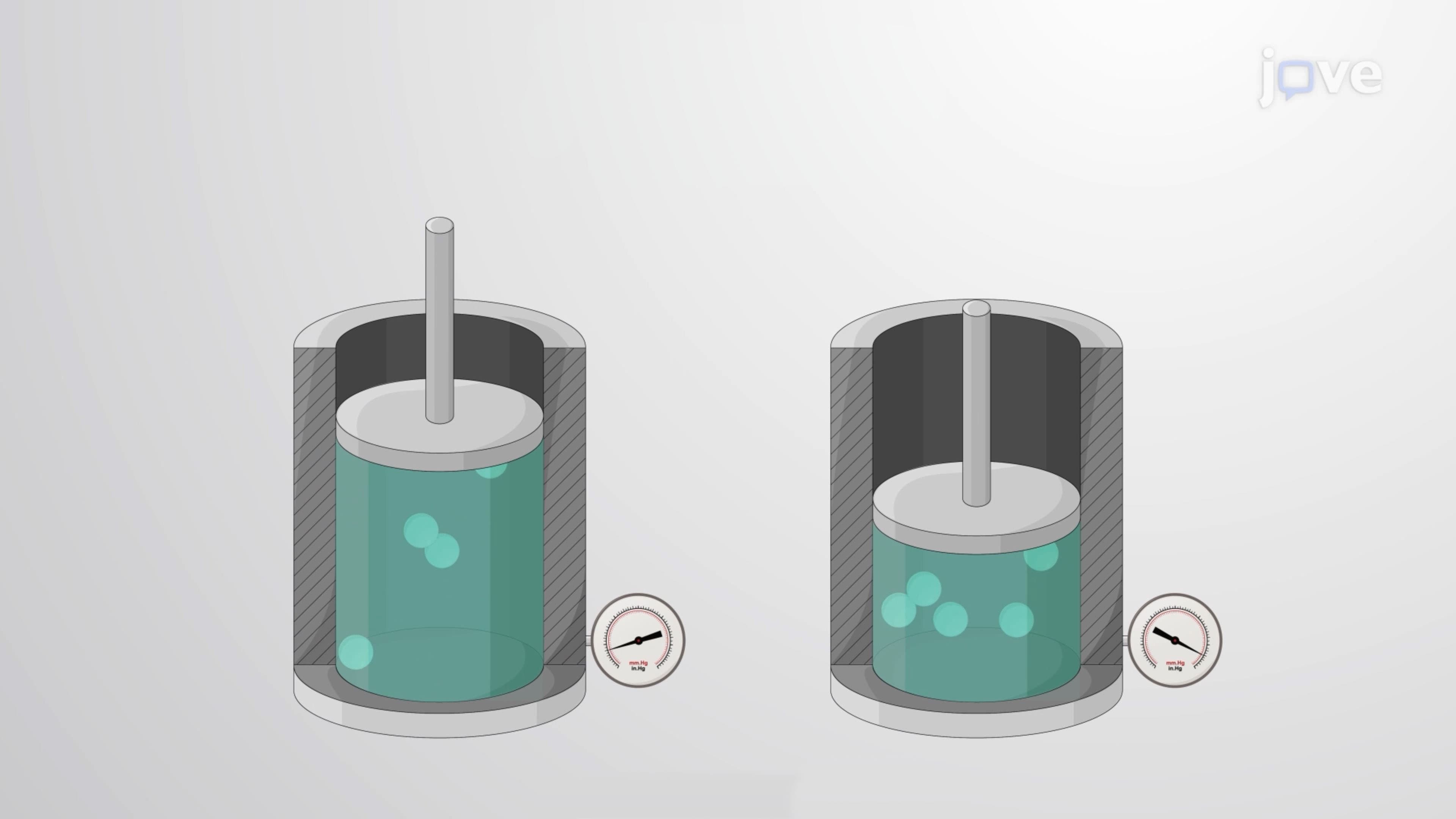 Gas Laws: Boyle's, Gay-Lussac, Charles', Avogadro's, and Ideal Gas Law