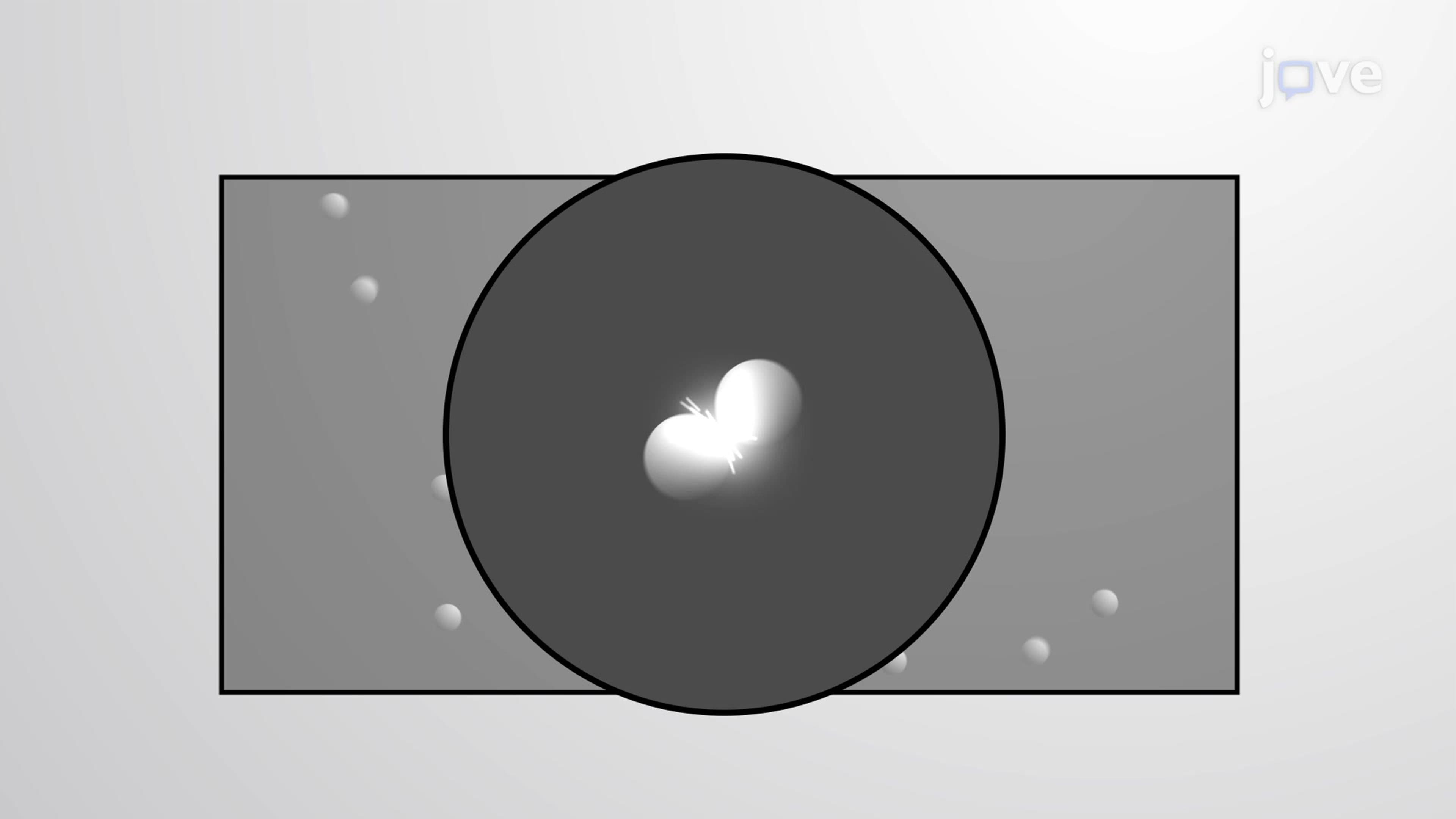 Basic Postulates of Kinetic Molecular Theory: Particle Size, Energy, and Collision