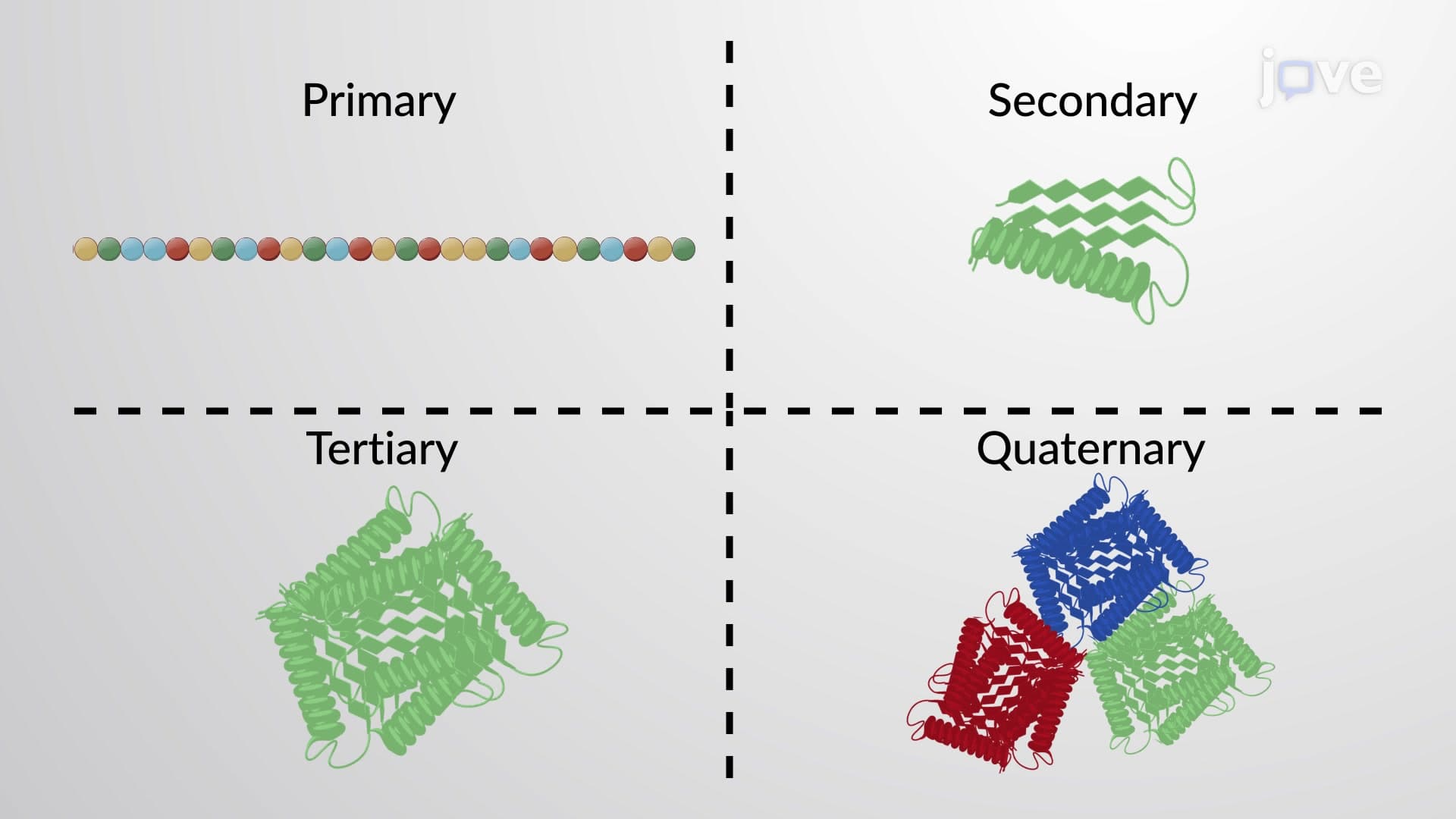 Protein and Protein Structure
